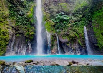 7 Destinasi Wisata di Tengah Pandemi di Bogor 3