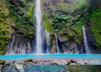 7 Destinasi Wisata di Tengah Pandemi di Bogor 2