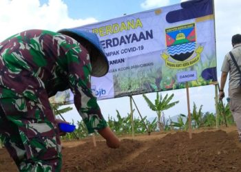 Kodim 0609 Cimahi dan pemerintah Kabupaten Bandung Barat menyediakan fasilitas berupa tanah pupuk dan Bios 44 untuk petani. Foto: Saifal/Islampos