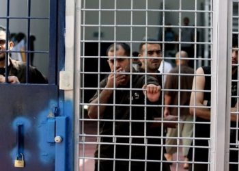 Tahanan di penjara Israel. Foto: Just World Educational