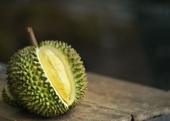 Kenapa Durian Punya Bau Menyengat