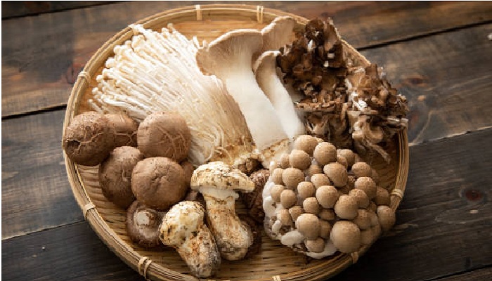 jamur makanan kesukaan nabi