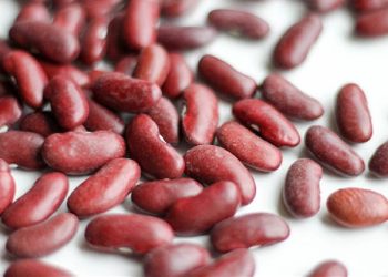 10 Manfaat Kacang Merah untuk Tubuh 5