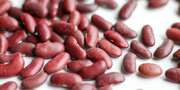 10 Manfaat Kacang Merah untuk Tubuh 1