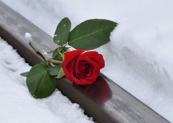 perusak pernikahan Adab Melihat Calon Istri, Wanita Ini Boleh Tidak Mengenakan Jilbab, Sifat Buruk yang Harus Dihindari oleh Istri, Hukum Menikahi Wanita yang Sudah tak Perawan, , Istri Pernah Berzina, Azab Pezina, Hal yang Tak Boleh Dilakukan Wanita Haid, Larangan Saat Haid, Fatimah Az-Zahra, Aisyah, Hukum Wanita Bekerja saat Masa Iddah, Doa untuk Janda, Hal yang Boleh Disembunyikan Istri dari Suami.,Gadis Cantik, Zina di Akhir Zaman, Cara Membersihkan Kain Terkena Darah Haid, Ciri Wanita Penghuni Surga, Tanda Suci bagi Wanita yang Haid, Anak Perempuan, puasa, Sifat Wanita Ahli Neraka
