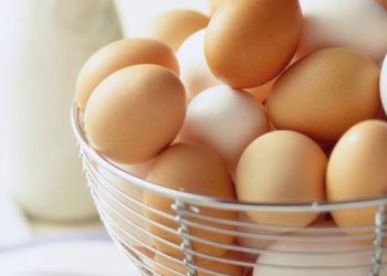 Cara yang Tepat Menyimpan Telur, Di Dalam Kulkas atau Di Luar? 1