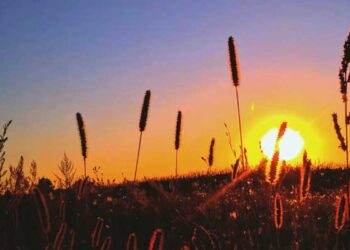 guru terbaik di dunia, wali Allah, shalawat kepada nabi, shalat isyraq, golongan, nikmat, rezeki