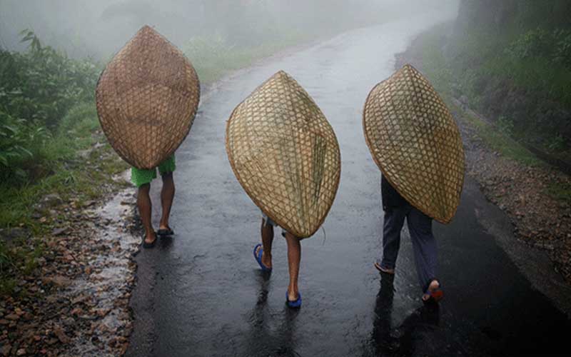 fakta air hujan