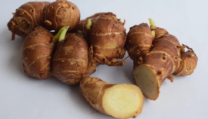 Direkomendasikan dr Zaidul Akbar, Ini 5 Bahan Herbal untuk Bentengi Diri dari Covid-19 4 Kencur herbal rekomendasi dr Zaidul Akbar