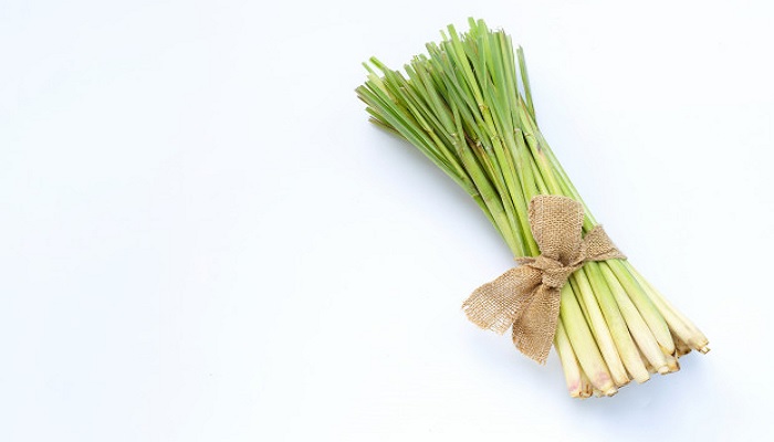 Direkomendasikan dr Zaidul Akbar, Ini 5 Bahan Herbal untuk Bentengi Diri dari Covid-19 6 serai herbal rekomendasi dr Zaidul Akbar