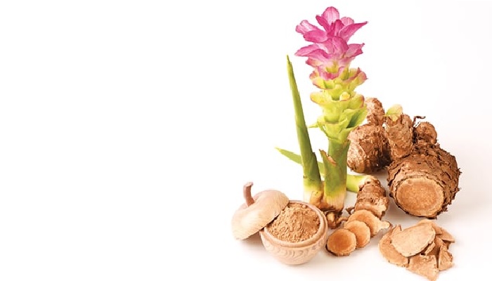 Direkomendasikan dr Zaidul Akbar, Ini 5 Bahan Herbal untuk Bentengi Diri dari Covid-19 3 temulawak herbal rekomendasi dr zaidul akbar