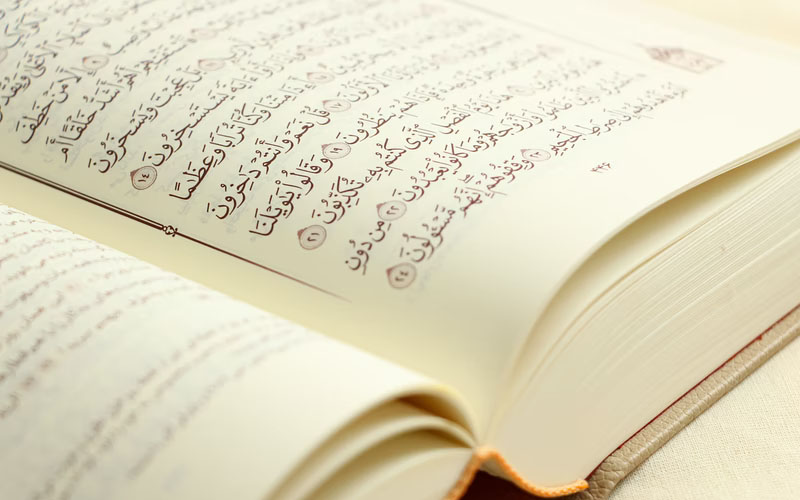 ayat Al-Quran tentang tolong menolong
