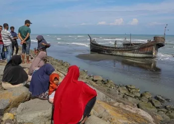 pengungsi rohingya