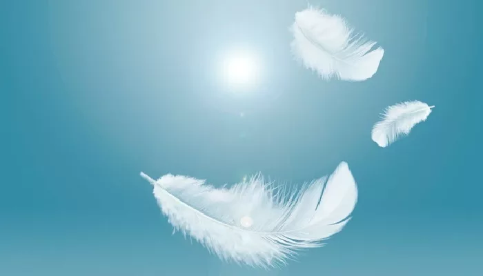 ruh dan jiwa, malaikat muqarrabin