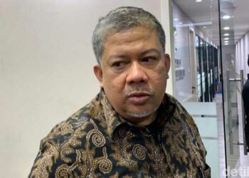 fahri hamzah