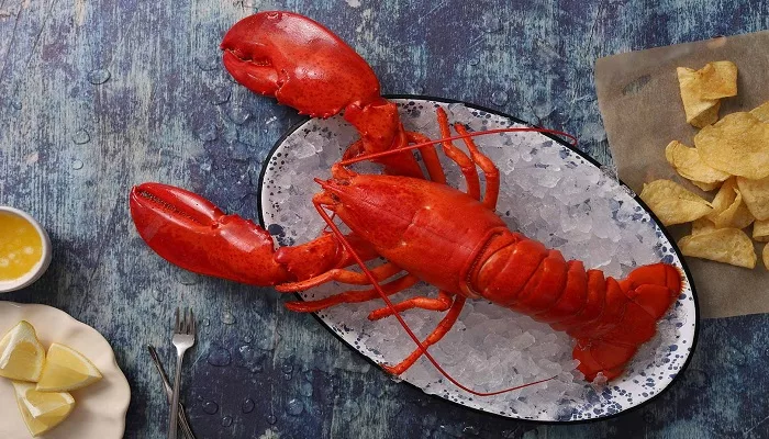 Lobster Halal Atau Haram Sih Islampos lobster-halal-atau-haram-sih-islampos