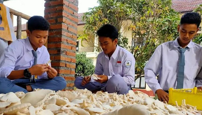 Sekolah Cendekia BAZNAS Panen 9 Kwintal Jamur dalam 1 kali Siklus Tanam 1 Baznas