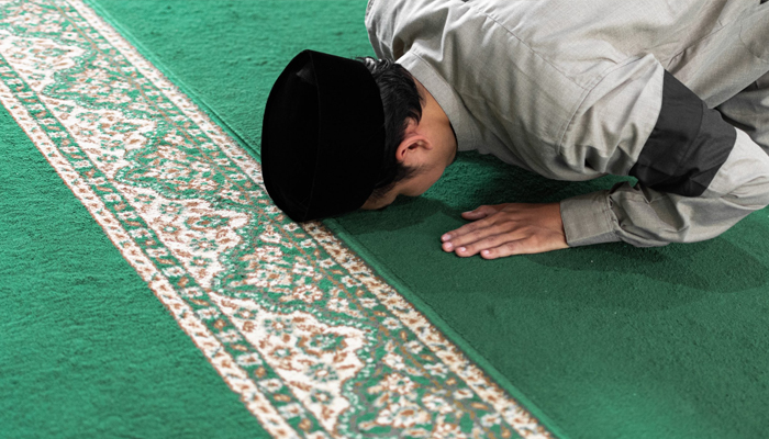 Hukum Muslim Meninggalkan Shalat Fardhu, keutamaan syukur, Hukum Shalat Lagi setelah Witir, Hukum Shalat Tarawih Sendirian, Shalat Dhuha Pembuka Rezeki, Tempat Terlarang untuk Shalat, Hukum Shalat Dhuha Setiap Hari, Doa Sujud, Qadha Shalat Qabliyah Zuhur, Doa yang Dibaca ketika Sujud, Cara Sujud Rasulullah