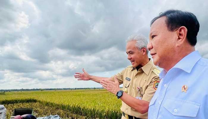 ganjar, prabowo, survei, capres, hasto