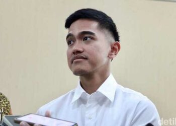 kaesang