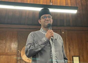 anies, PARTAI