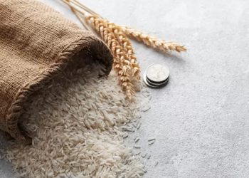 Zakat Fitrah